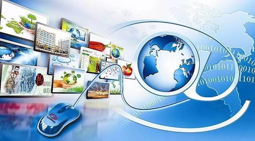 海归学霸张刚的创业梦 打造国内顶尖互联网科研服务平台的征途